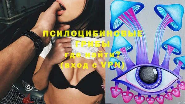apvp Алзамай