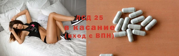 apvp Алзамай