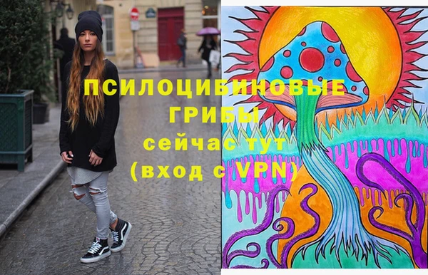 apvp Алзамай