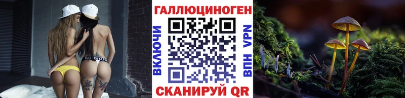 купить наркотики сайты  Бабаево  Галлюциногенные грибы MAGIC MUSHROOMS 