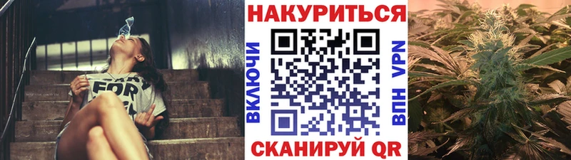 Шишки марихуана семена  мега онион  Бабаево  закладка 